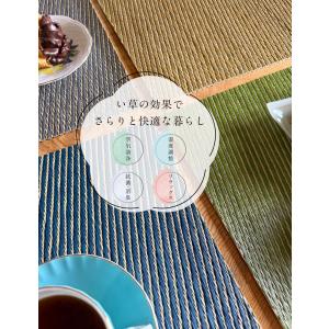 い草ランチョンマット 国産 おしゃれ 収納 5...の詳細画像1