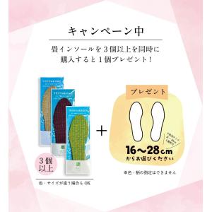 い草 インソール 畳 中敷き 国産 革靴 疲れ...の詳細画像5