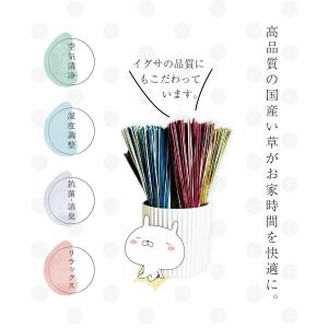 置きい草 ドライフラワー イグサ 置き型いぐさ...の詳細画像1
