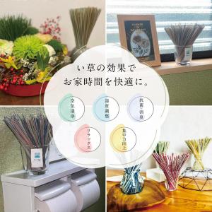 置きい草 ドライフラワー イグサ 置き型いぐさ...の詳細画像2
