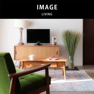 観葉植物 室内 インテリア オブジェ 置物 T...の詳細画像2