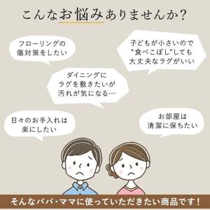 ラグ 洗える カーペット PP 防ダニ ウィー...の詳細画像2