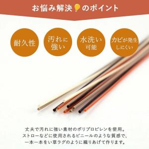 ラグ 洗える カーペット PP 防ダニ ウィー...の詳細画像3