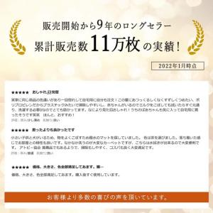ラグ 洗える カーペット PP 防ダニ ウィー...の詳細画像4