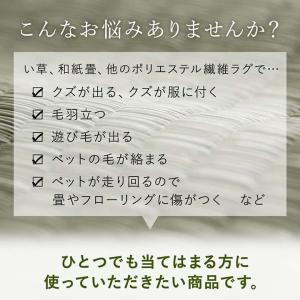 ラグ ペット対応 洗える 6畳 団地間 約25...の詳細画像2