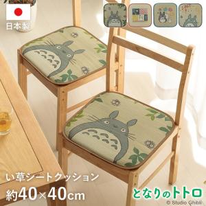 スタジオジブリ　イケヒコ・コーポレーション　日本製　イ草　クッション　2枚セット スタジオジブリ シートクッション となりのトトロ い草 クッション