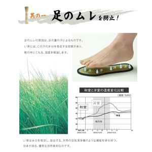 い草インソール 消臭 メンズ レディース 中敷...の詳細画像3