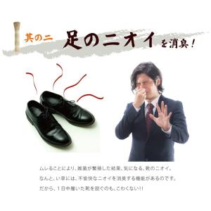 い草インソール 消臭 メンズ レディース 中敷...の詳細画像4