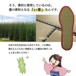 い草インソール 消臭 レディース 靴の中敷き ...の詳細画像4