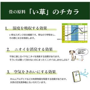 い草インソール 消臭 レディース 靴の中敷き ...の詳細画像5