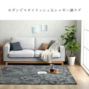 ラグ カーペット ラグマット 楕円形 レスト ...の詳細画像1