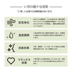い草カーペット DXルネ 江戸間 3畳 い草ラ...の詳細画像4