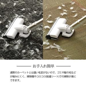 い草カーペット DXルネ 江戸間 3畳 い草ラ...の詳細画像5