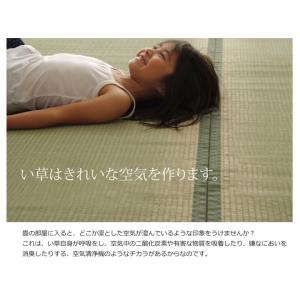 い草上敷き 草津 本間3畳 191×286cm...の詳細画像2