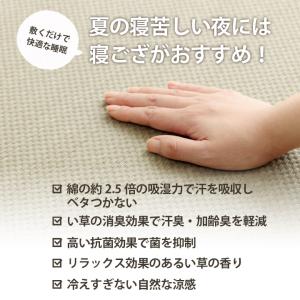 い草シーツ 寝ござ 国産 いやし シングル 約...の詳細画像1