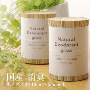 業務用 クレベリンpro 置き型 150g /クレベリンG150g 後継品