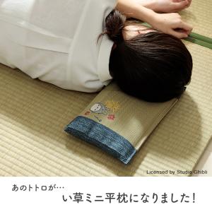 い草枕 枕 となりのトトロ ミニ平枕 い草 ま...の詳細画像1
