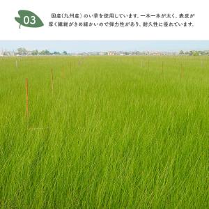 い草枕 枕 となりのトトロ ミニ平枕 い草 ま...の詳細画像4
