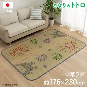 イケヒコ い草ラグ 日本製 トトロ 和ごころ 176×230cm い草カーペット