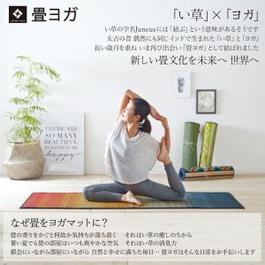 ヨガマット 日本製 プレーン 66×185cm...の詳細画像1