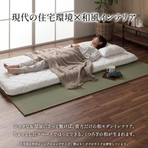 畳 置き畳 国産 い草 フローリング 敷くだけ...の詳細画像1
