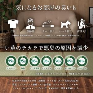畳 置き畳 国産 い草 フローリング 敷くだけ...の詳細画像4