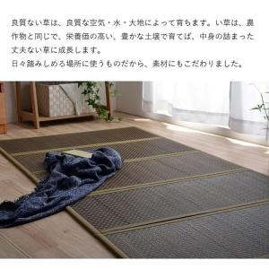 畳マットレス シングル 純国産 日本製 ユニッ...の詳細画像3