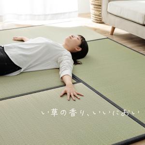 畳 置き畳 国産 ライズ 88×176cm 1...の詳細画像1