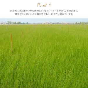 畳 置き畳 国産 ライズ 88×176cm 1...の詳細画像2