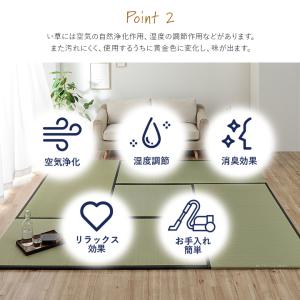 畳 置き畳 国産 ライズ 88×176cm 1...の詳細画像3