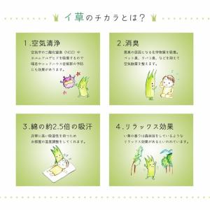 スリッパ い草スリッパ サブレ2足組 日本製 ...の詳細画像3