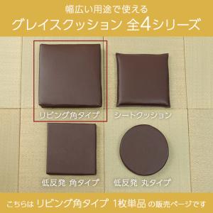 リビングクッション グレイス 約50×50×5...の詳細画像2
