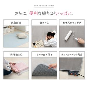 ラグ カーペット 洗える ラグマット 抗菌 防...の詳細画像3