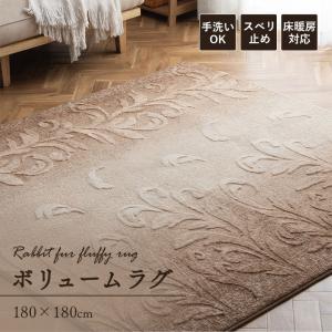 イケヒコ 玄関マット ルームマット ウィルトンラグ ネム 約80×140cm