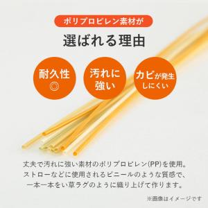ppラグ カーペット ござ 洗える 江戸間 6...の詳細画像2