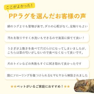 ppラグ カーペット ござ 洗える 江戸間 6...の詳細画像3