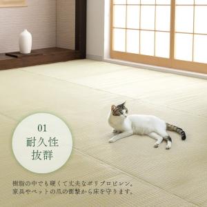 ppラグ カーペット ござ 洗える 江戸間 6...の詳細画像4
