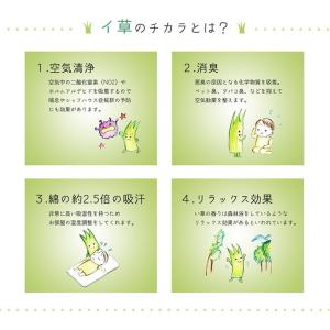 スリッパ い草スリッパ うず・格子 Lサイズ ...の詳細画像3