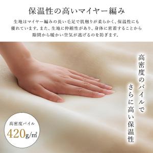 毛布 2枚合わせ シングル 西川 「オーロラボ...の詳細画像4