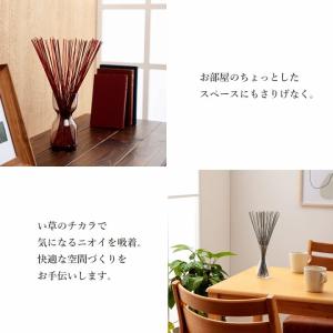 インテリア 雑貨 消臭 フレグラス 30cm ...の詳細画像3