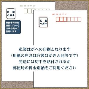 墓じまい(改葬・移転)の挨拶状 印刷代込み20...の詳細画像2