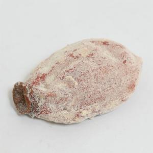 【本物そっくり!リアルな食品サンプル】干し柿(...の詳細画像2