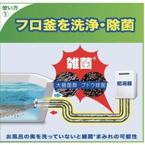 スクラビングバブル 風呂釜洗浄剤 ジャバ 1つ...の詳細画像3