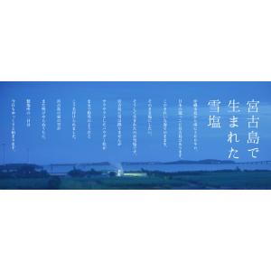 パラダイスプラン 雪塩 120g 2個 宮古島...の詳細画像1