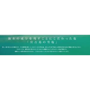 パラダイスプラン 雪塩 120g 2個 宮古島...の詳細画像2