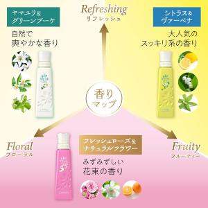 P&G レノアリセット シトラス&am...の詳細画像2