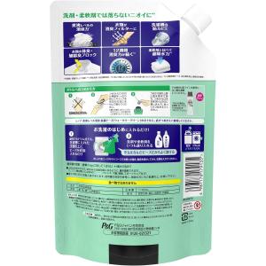 P&G レノア 煮沸レベル 消臭抗菌ビ...の詳細画像1