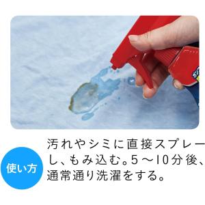 グラフィコ オキシクリーン マックスフォース ...の詳細画像4