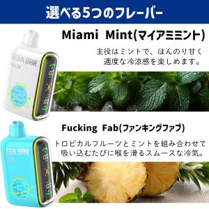 使いきり電子べイプ GEEK BAR PULS...の詳細画像4
