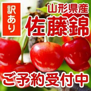 遅れてごめんね父の日 お中元に【朝採りさくらんぼ】 佐藤錦1ｋg 東北関東送料無料クール便で発送　山形県産　ご家庭用